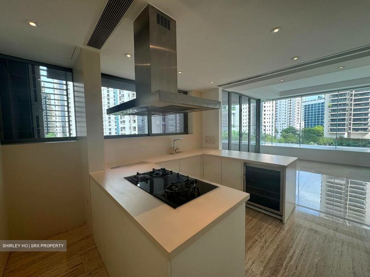 Ardmore Residence (D10), Condominium #476253451